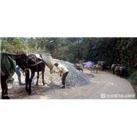 马帮骡马运输哪里有运输建材上山