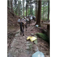 骡马搬运选畅谊马帮运输队