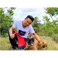 曲靖训狗，曲靖训犬电话