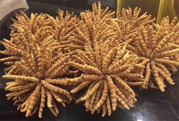 綦江回收五粮液 綦江茅台酒回收