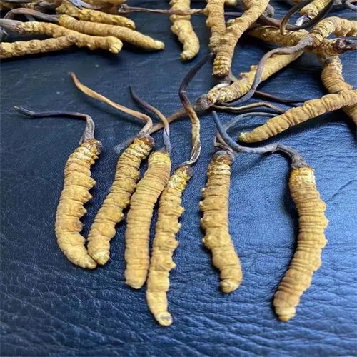 重庆渝中区回收虫草