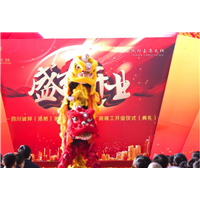 重庆舞狮舞龙表演