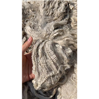 大量供应美国进口4080废丝