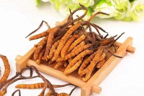 巴中虫草回收