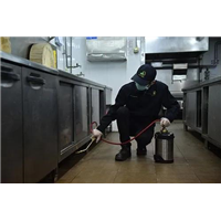 河南灭鼠专业灭蟑螂