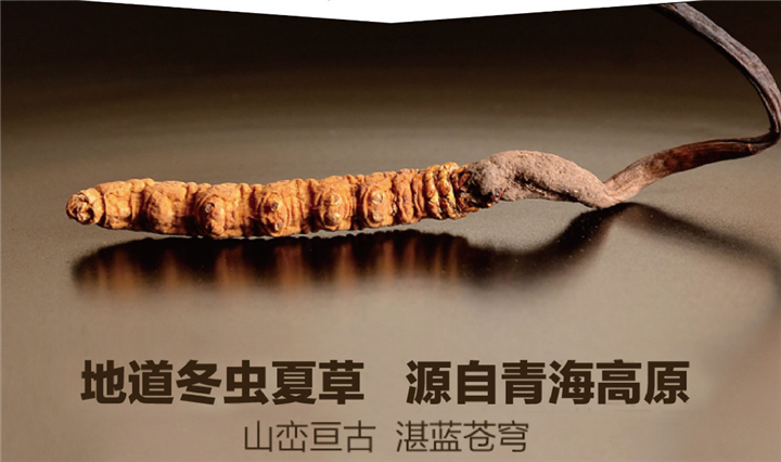西南回收虫草商家在线电话,回收虫草神像报价表,哪里回收虫草