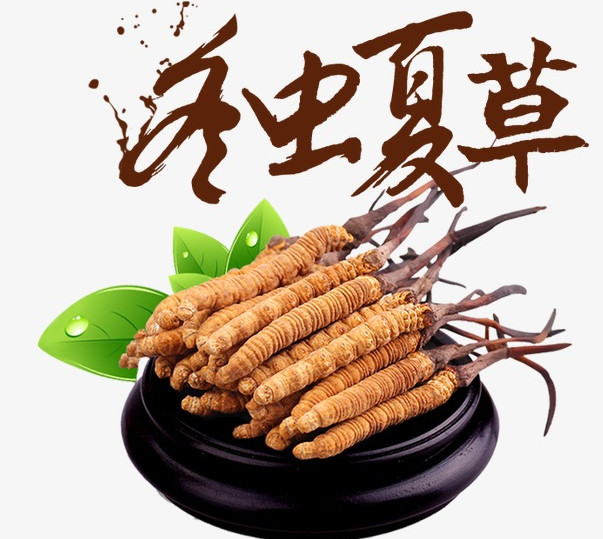 禅城回收冬虫夏草,回收3900条冬虫夏草实体店面