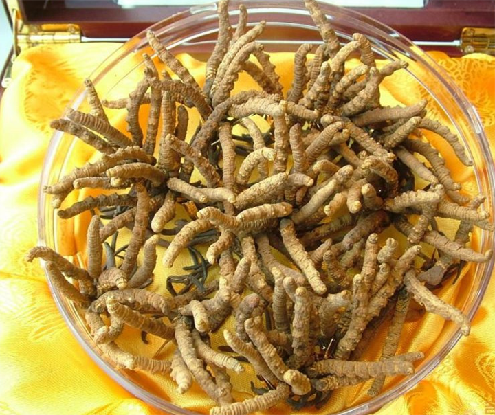 三水-芦苞回收2300条冬虫夏草哪家价格实惠-当天回收虫草
