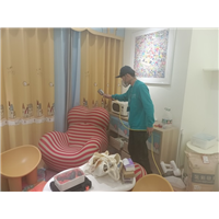 博乐心呼吸除甲醛公司