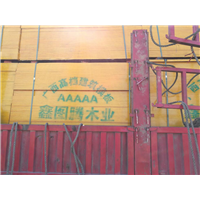 广东建筑模板