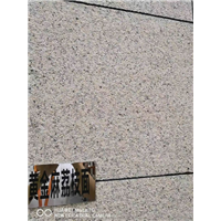 内蒙古黄金麻荔枝面销售价格