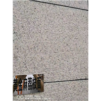 内蒙古黄金麻荔枝面厂家批发