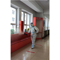 牡丹江灭鼠公司