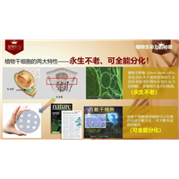 植物干细胞的作用和意义