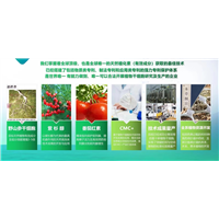 皇草密码实验室--植物干细胞