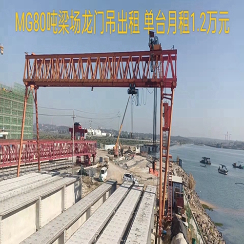 四川自贡龙门吊厂家夹轨器维护保养