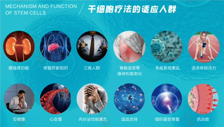 河南干细胞联系电话
