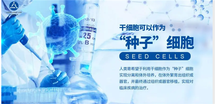 河南干细胞公司