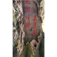广东风景园林假山