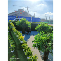 惠来县广告制作公司
