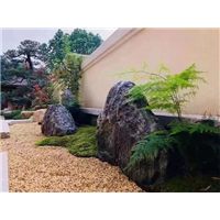 厦门泰山石