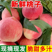 山西桃子