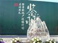 北京婚庆冰雕丨北京会务冰雕04