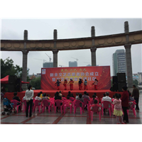 2016新余市文艺志愿者成立