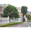 海沧仿木栏杆 
