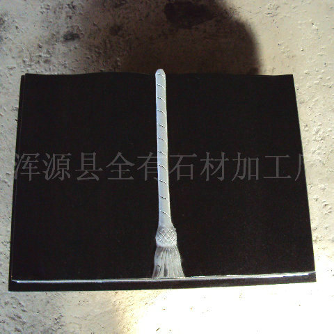 山西黑欧美碑11