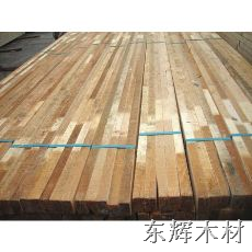 东辉木材-**桦木价格|新疆桦木价格/桦木价格/批发桦木 