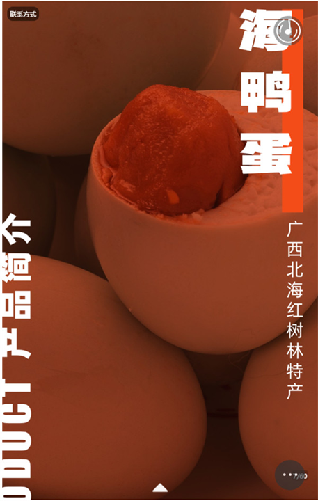 广西海鸭蛋