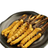 东莞上门回收拉菲商行电话