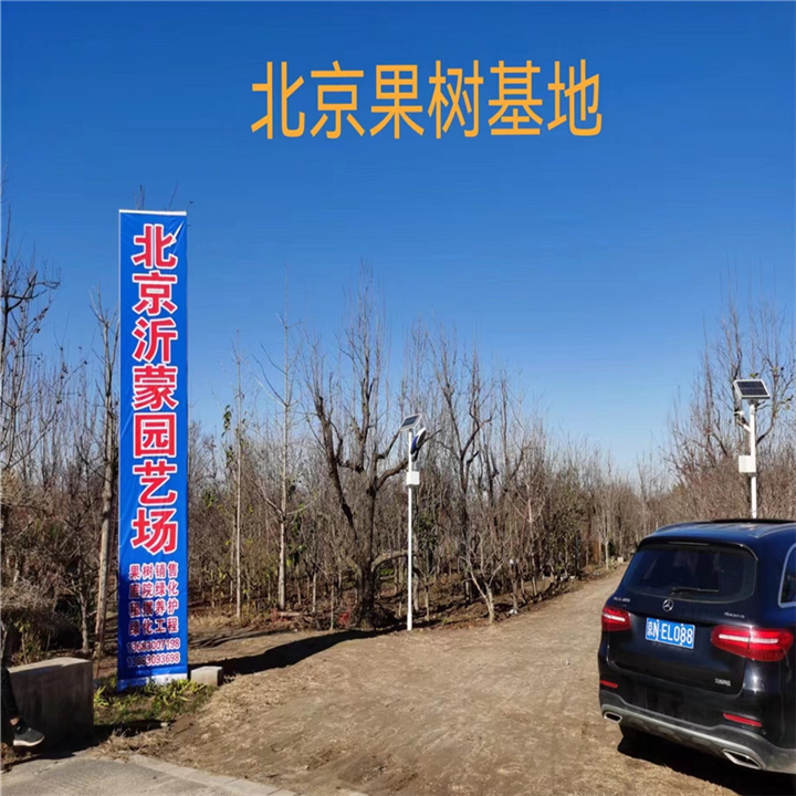 北京果树基地