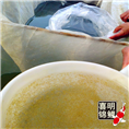红白锦鲤水花苗--喜明锦鲤水花成长记录 