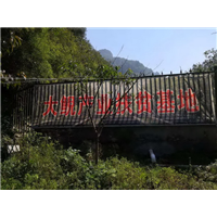 湖北娃娃鱼批发|娃娃鱼 