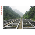湖北娃娃鱼 湖北娃娃鱼批发
