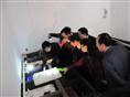 湖北娃娃鱼 娃娃鱼养殖