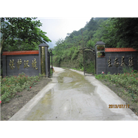 湖北娃娃鱼 湖北娃娃鱼养殖