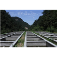 湖北娃娃鱼 湖北娃娃鱼价格