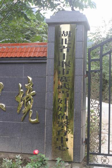 汉中娃娃鱼批发 湖北娃娃鱼批发