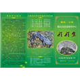 湖北大鲵养殖 湖北娃娃鱼批发