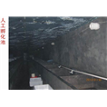 湖北娃娃鱼 湖北娃娃鱼批发