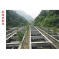 湖北娃娃鱼 湖北娃娃鱼批发
