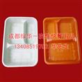 成都绿华一次性快餐用品