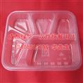 成都绿华一次性快餐用品