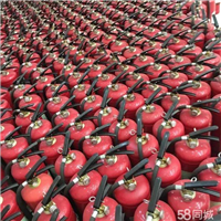 灭火器以旧换新及灭火器充气换粉 