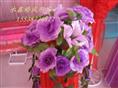 路引花