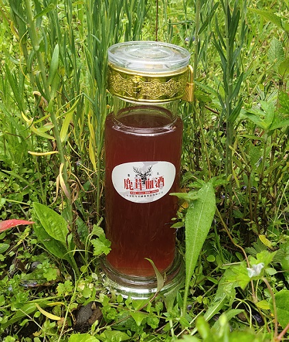 高原养生鹿茸血酒500ml 