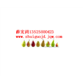 伏梨&无核梨 